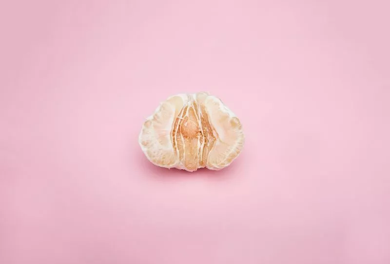 Tahukah Kamu, Apa Saja Organ Reproduksi Wanita Bagian Luar?