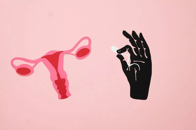 Fakta-fakta Mengenai Sel Telur Wanita