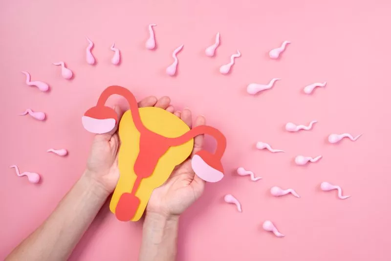 Pembekuan Sel Telur; Arti, Tujuan dan Hal yang Harus Diketahui