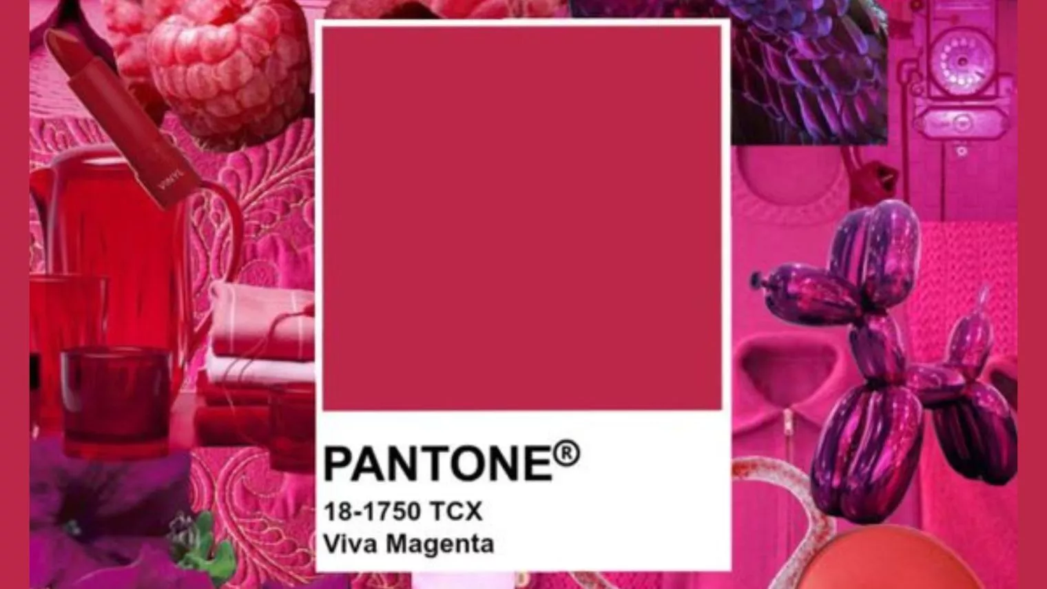Viva Magenta Menjadi Kiblat Warna di Tahun 2023!