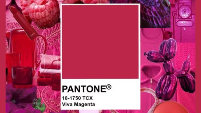 Viva Magenta Menjadi Kiblat Warna di Tahun 2023!