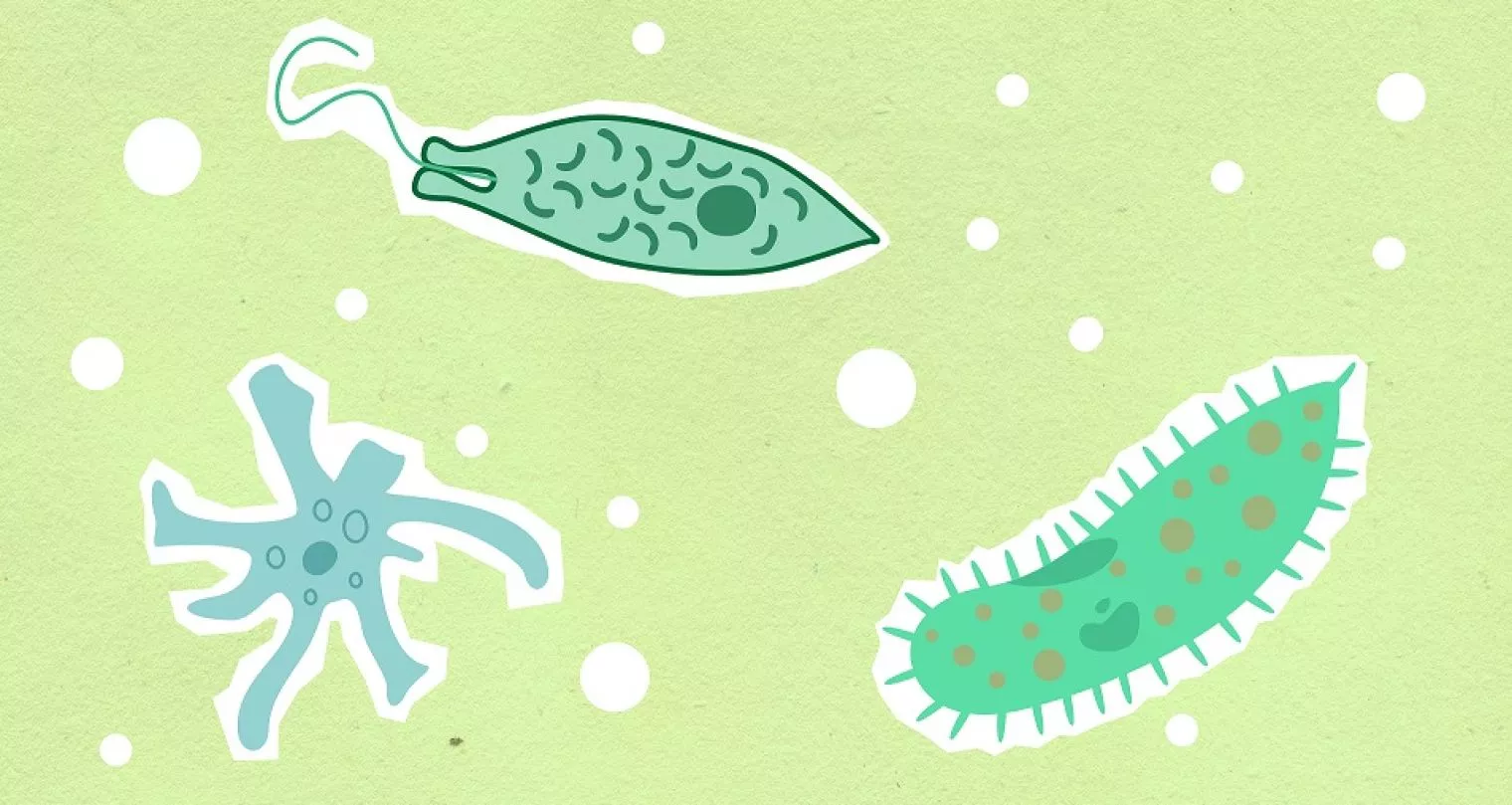 Mengenal Trikomoniasis, Salah Satu Penyakit Menular Seksual yang Umum Terjadi