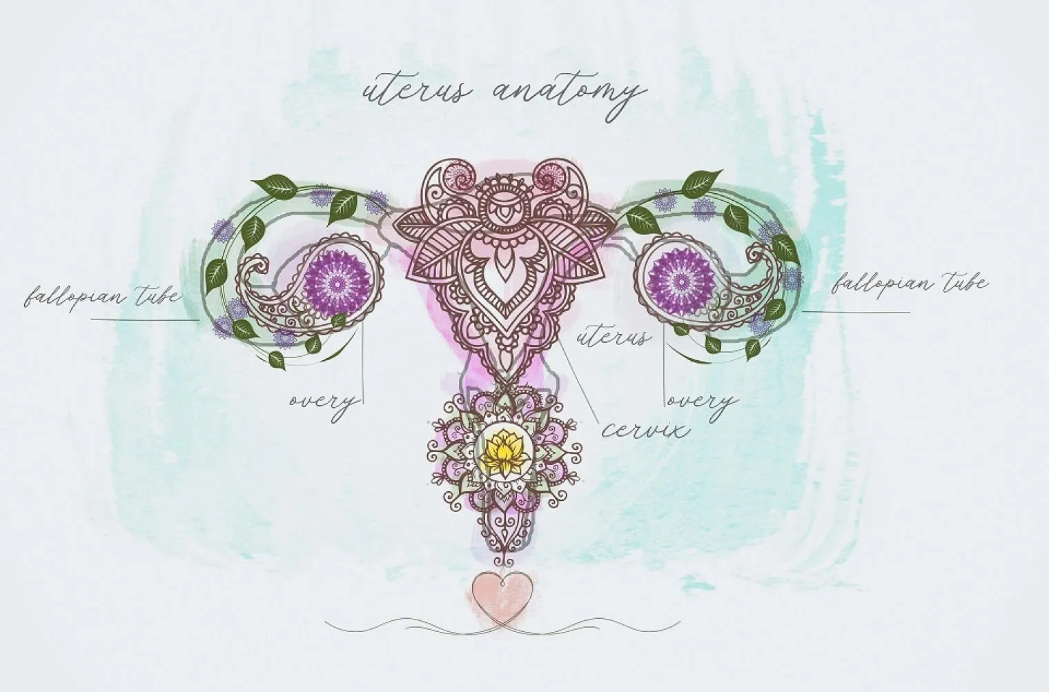 Pemeriksanaan Panggul, Apa Kegunaannya?