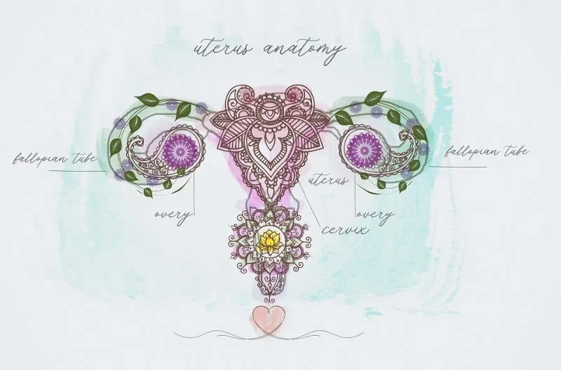 Pemeriksanaan Panggul, Apa Kegunaannya?