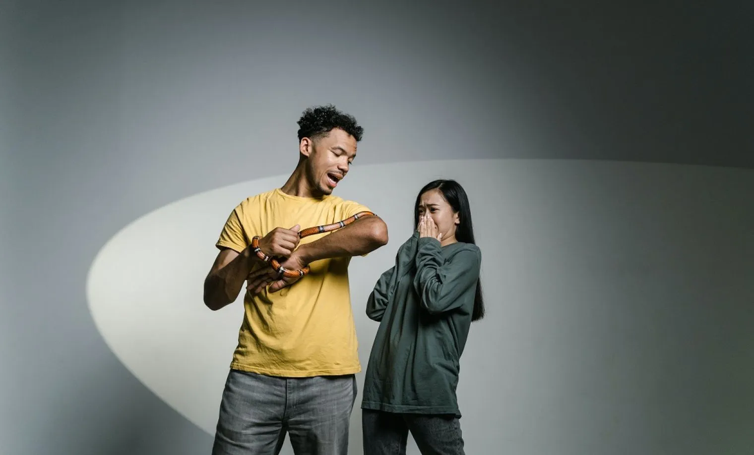 Ophidiophobia: Ketakutan Intens Terhadap Ular