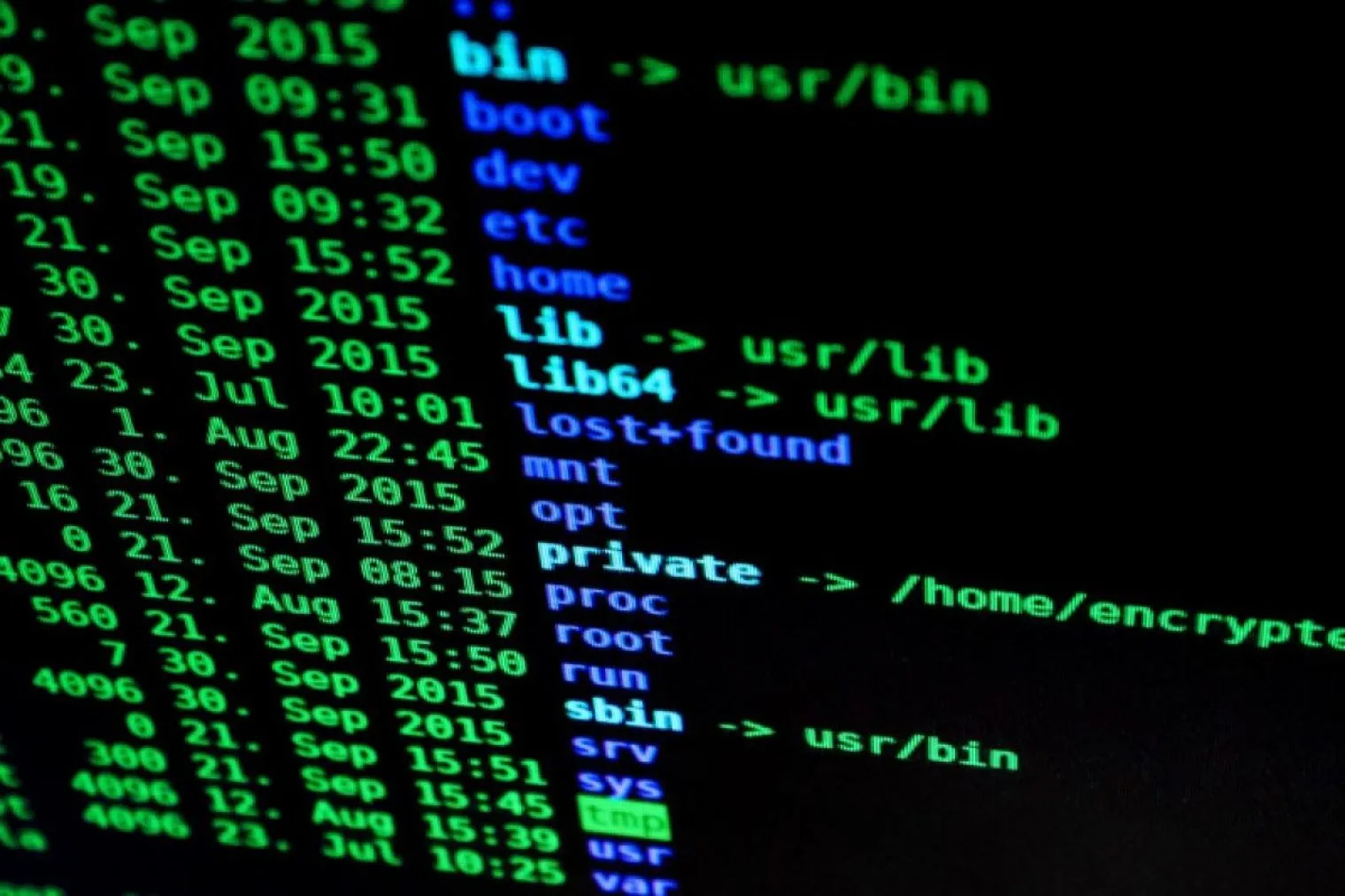 Pegasus: Spyware Berbahaya yang Bisa Intip Semua Aktivitas