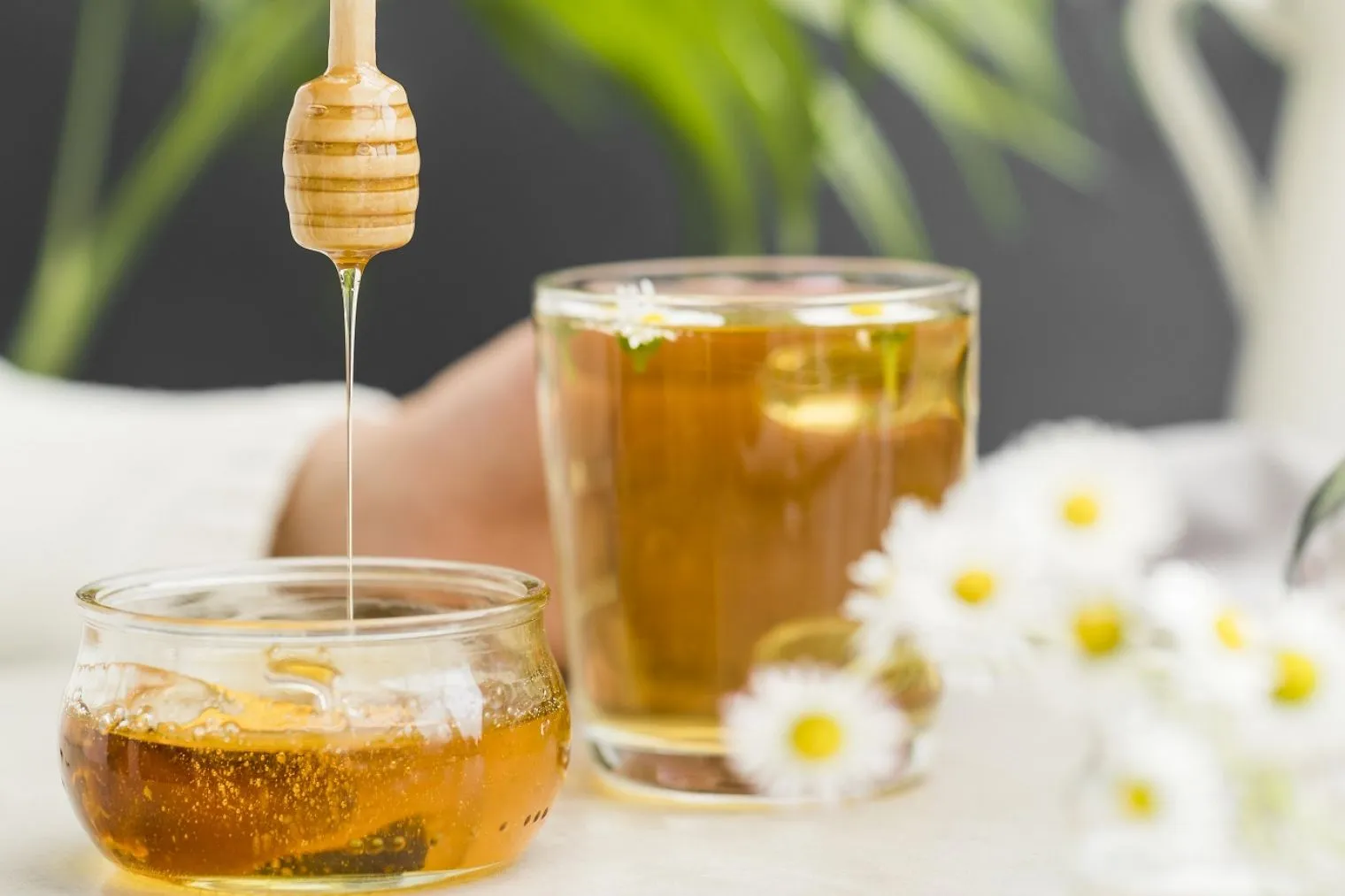 Alternatif Pengganti Gula Pasir: Mana yang Baik?