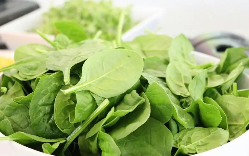 Bayam: Murah, Bergizi, dan Aman untuk Penderita Asam Urat