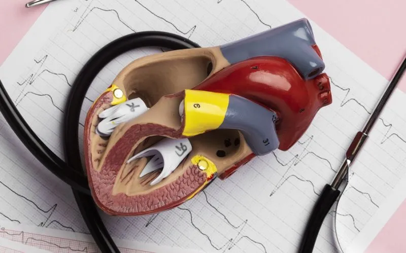 Hati Sapi dan Hati Ayam: Sumber Zat Besi yang Baik untuk Cegah Anemia