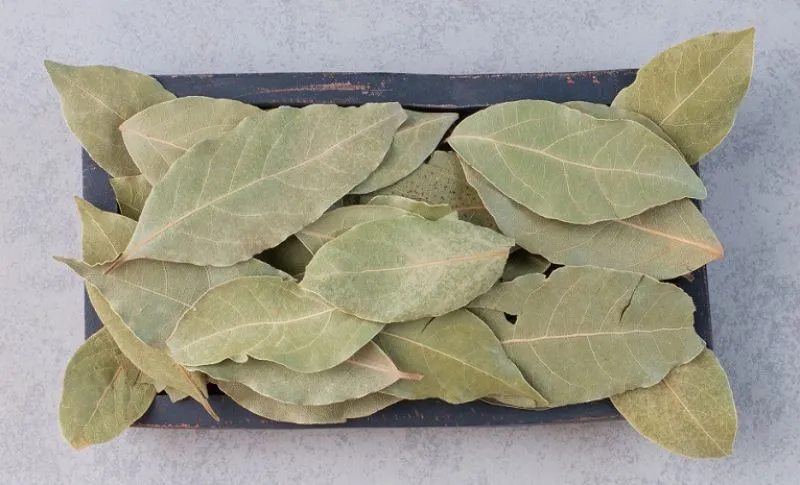 Potensi Manfaat Daun Salam untuk Kesehatan, Bukan Sekedar Bumbu Dapur