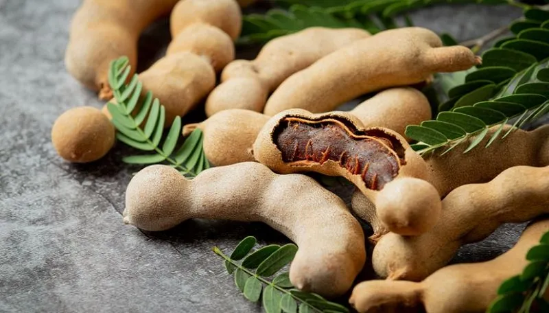 Khasiat Asam Jawa untuk Kesehatan Otak dan Tulang