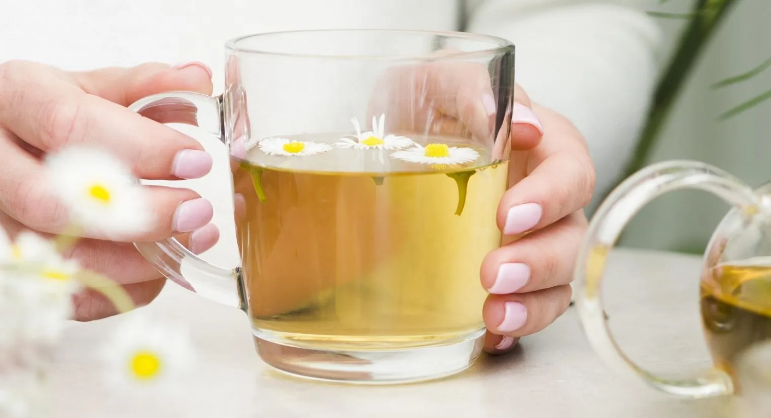 Manfaat Minum Teh Chamomile, Mulai dari Tidur Nyenyak Hingga Kulit Sehat