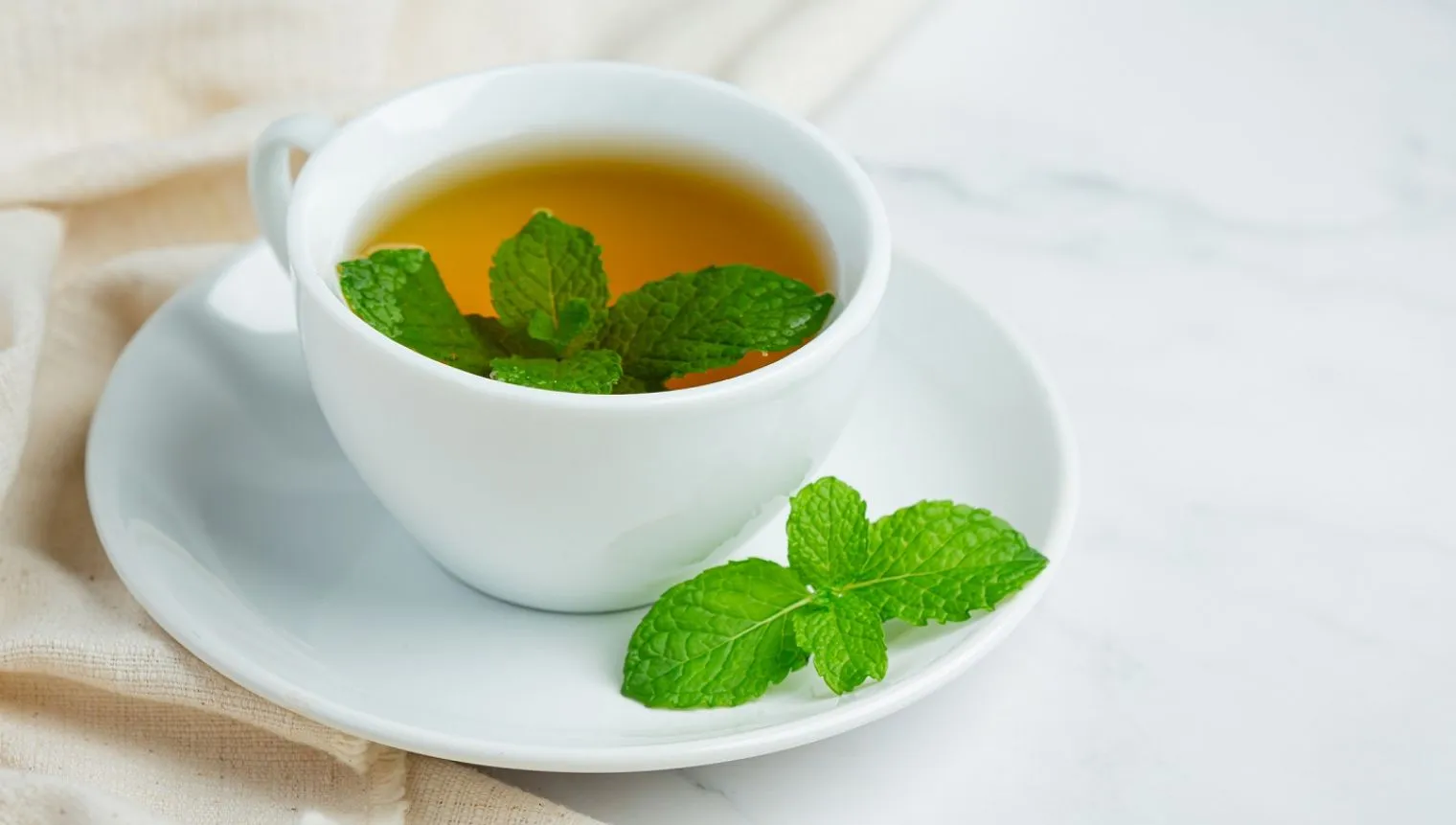 Jarang Yang Suka Peppermint, Padahal Banyak Khasiatnya!