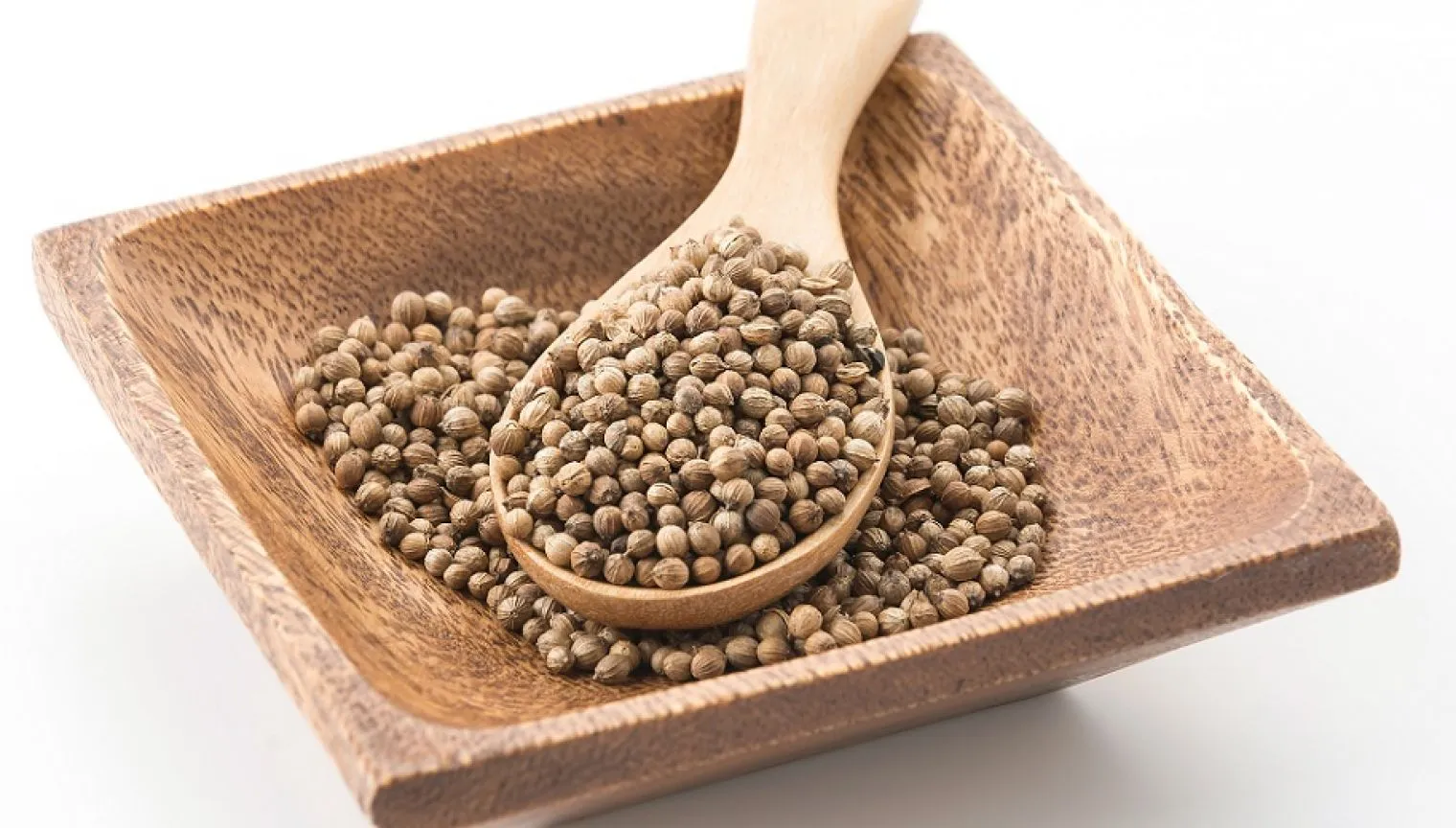 Ketumbar, Bumbu Masakan dengan Beragam Potensi Kesehatan