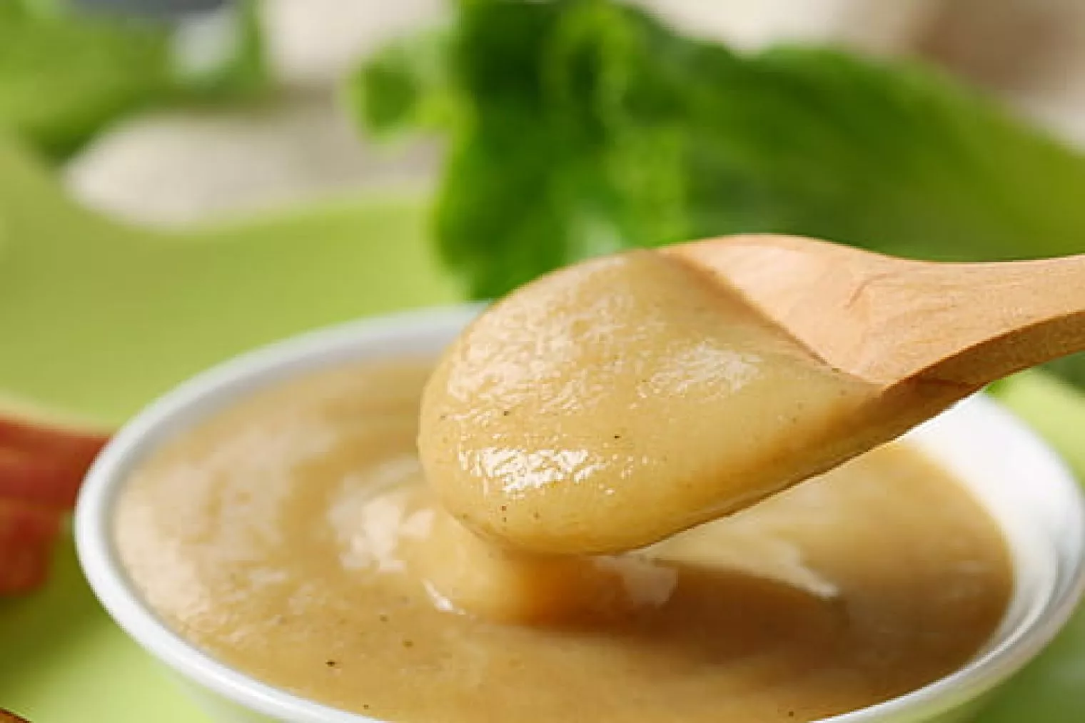 Serba-serbi Makanan Pendamping Air Susu Ibu (MP-ASI)