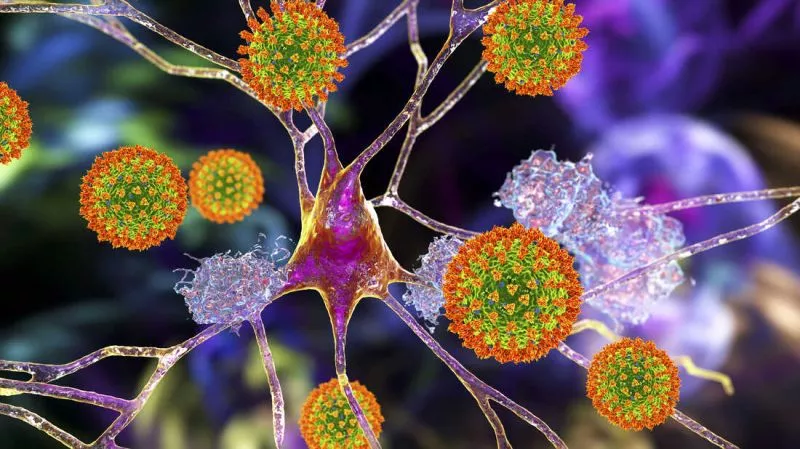 Apakah COVID-19 Dapat Menyebabkan Otak Menyusut?